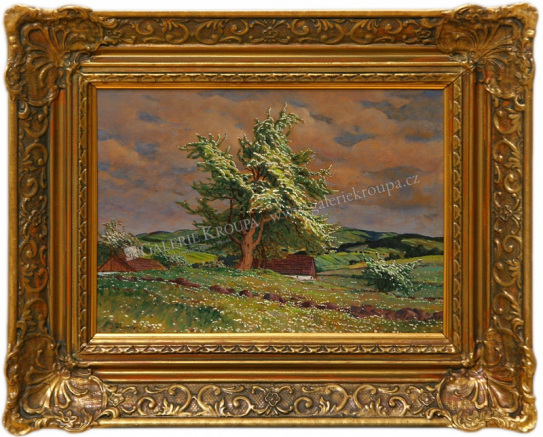 Kvetoucí hruška