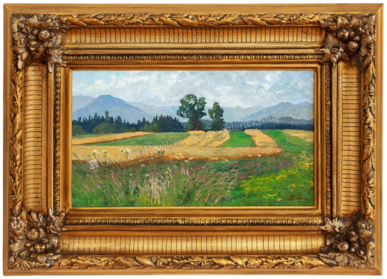 Letní krajina v podhůří bavorských Alp